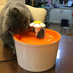 Pet Water Fountain -  1.6L