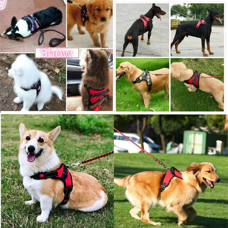 Adjustable Reflective Dog Harness