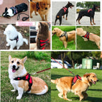 Adjustable Reflective Dog Harness
