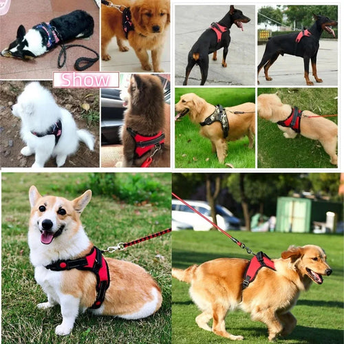 Adjustable Reflective Dog Harness