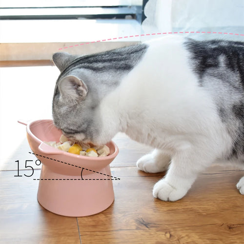 Cat Bowl 45°Neck Protector