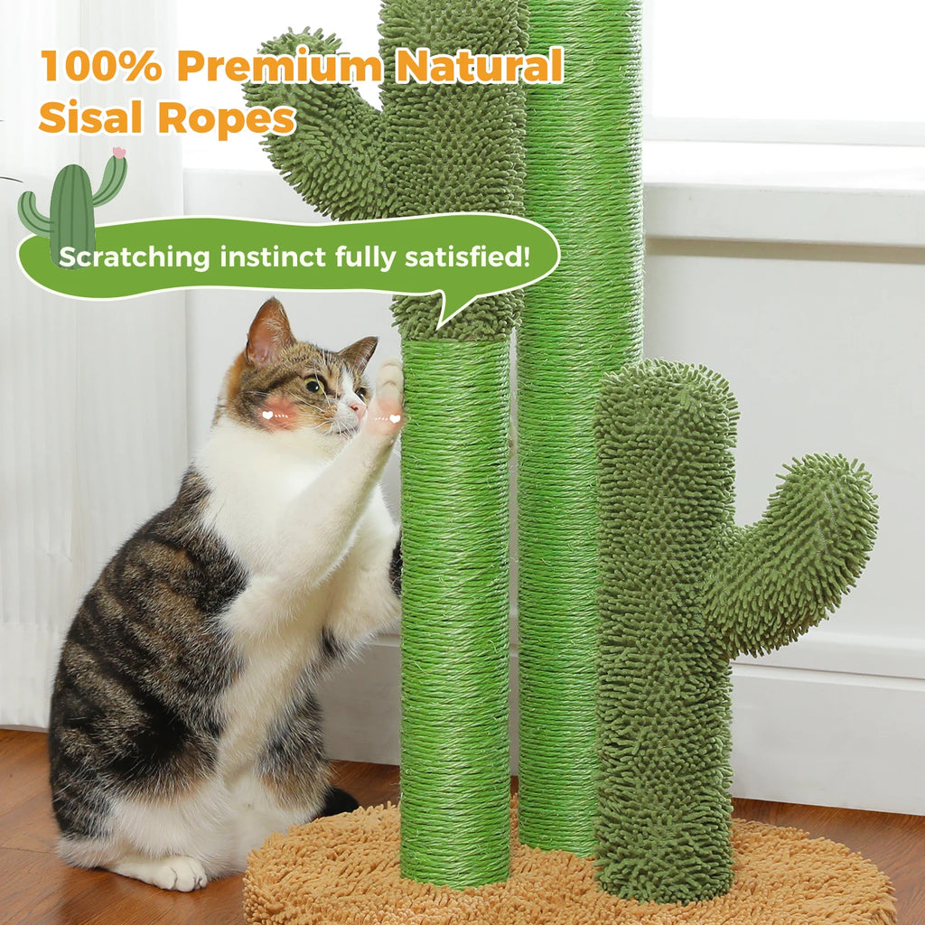 Cactus Cat Scratching Post with Sisal Poles & Interactive Toy