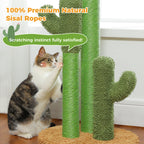 Cactus Cat Scratching Post with Sisal Poles & Interactive Toy