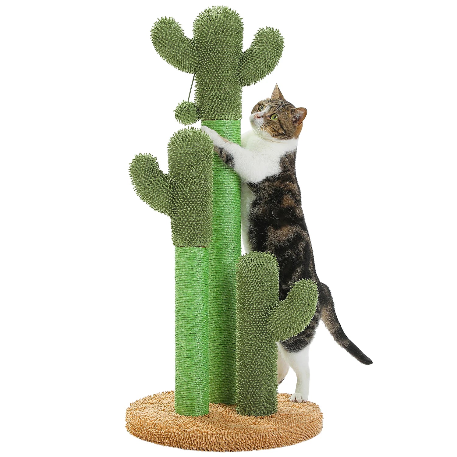 Cactus Cat Scratching Post with Sisal Poles & Interactive Toy