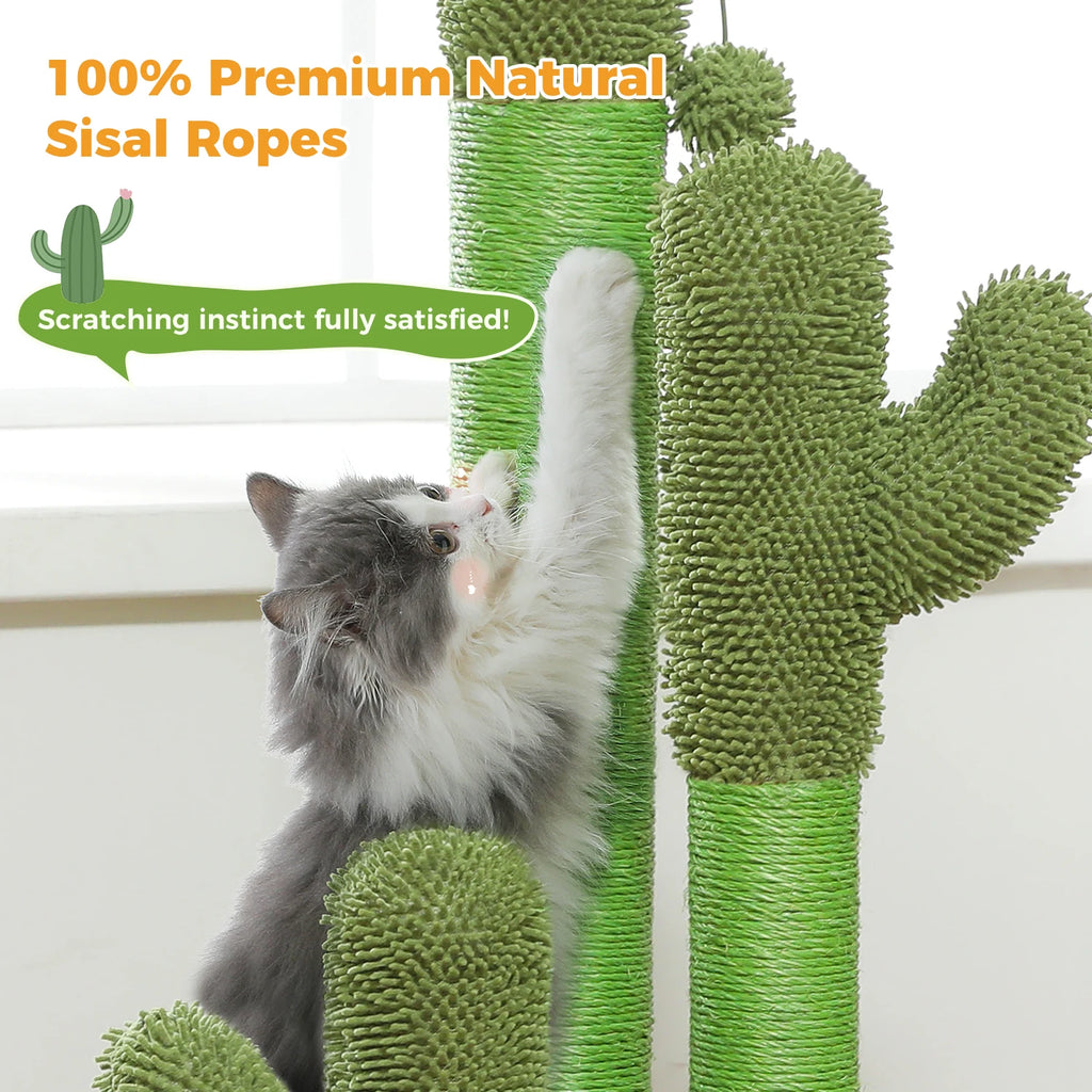 Cactus Cat Scratching Post with Sisal Poles & Interactive Toy