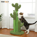 Cactus Cat Scratching Post with Sisal Poles & Interactive Toy